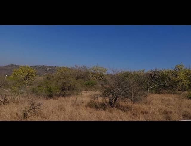 LAND FOR SALE IN BUNDU WILDLIFE ESTATE